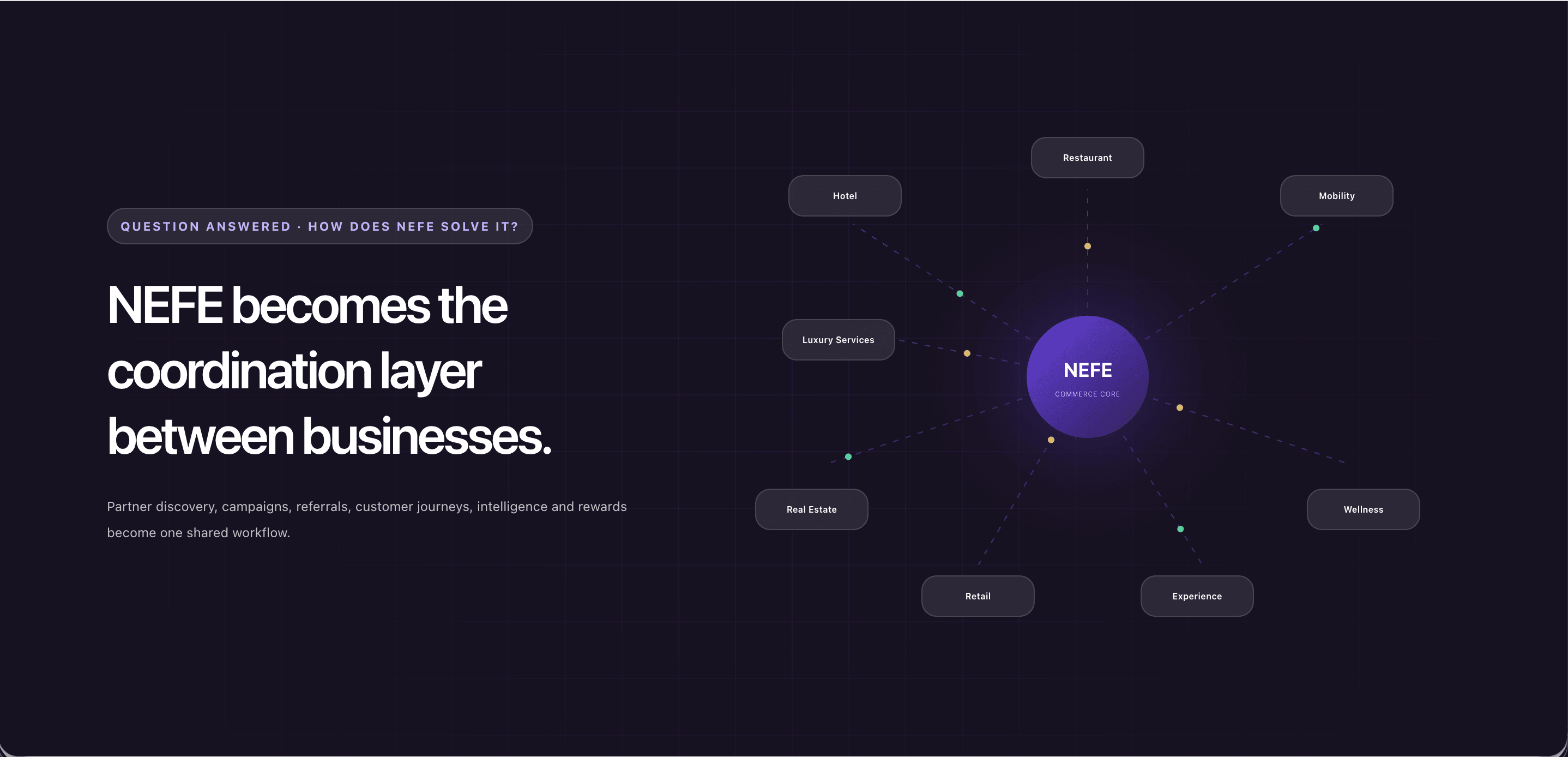 Nefe Business Platform CEO demo