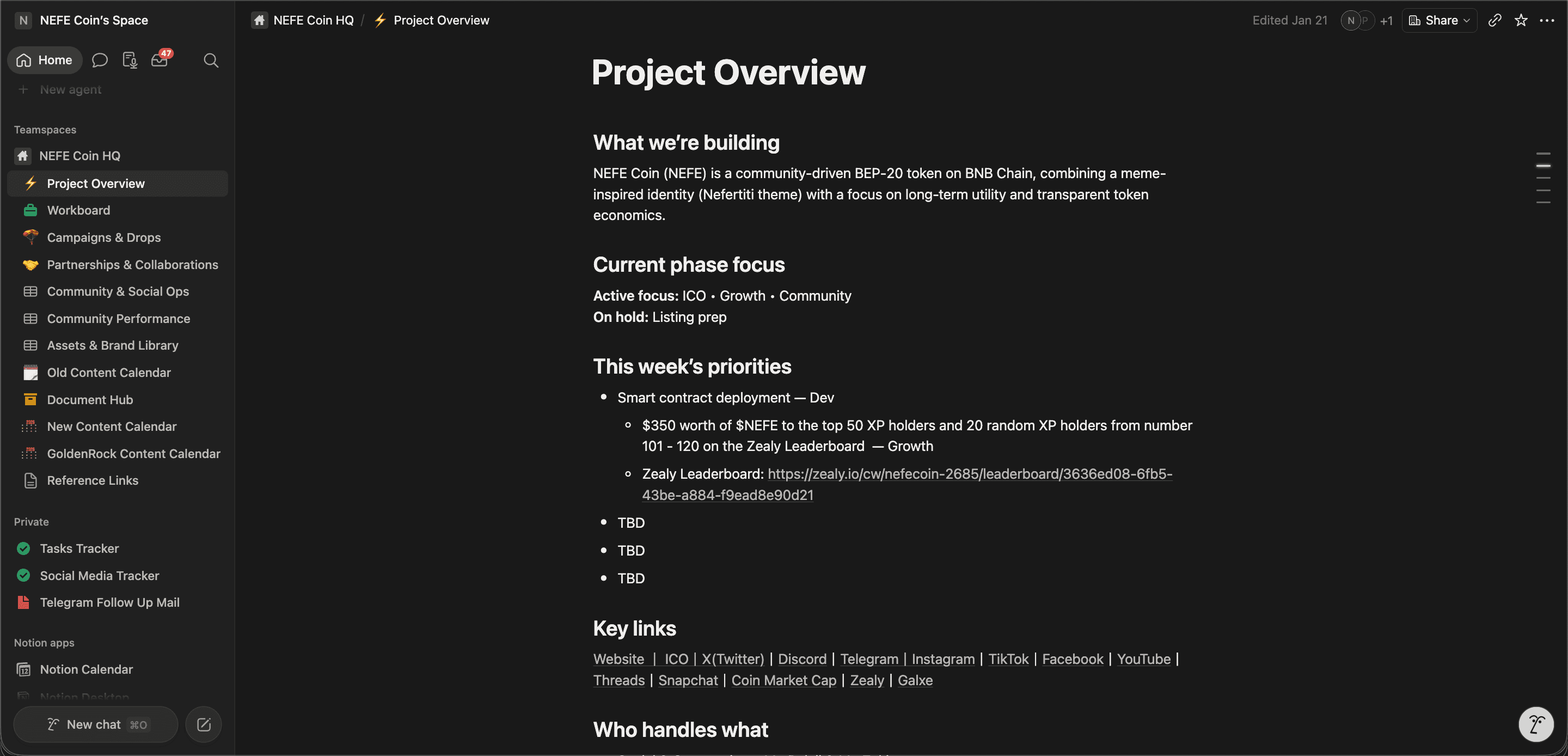 NefeCoin product and campaign workspace 05
